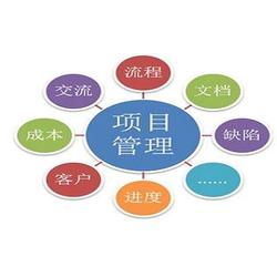 企業(yè)管理咨詢服務(wù) 管理咨詢服務(wù) 信恒新市場研究咨詢機構(gòu)